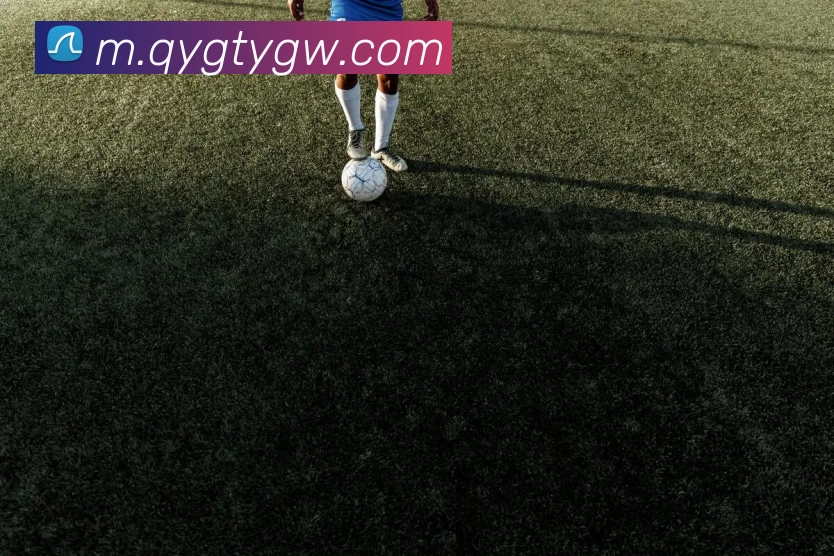 奇异果体育官网APP 封面图